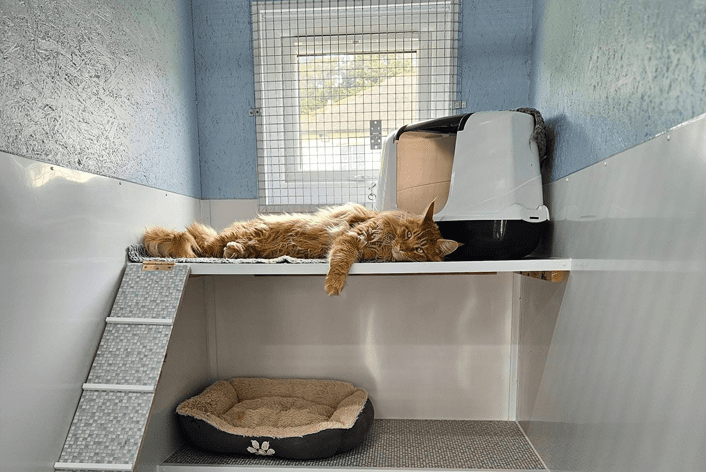 Chilling in his spacious room