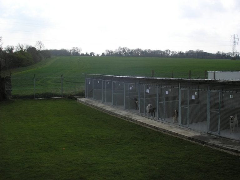 Canada Farm Boarding Kennel and Cattery